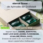 eternal flower