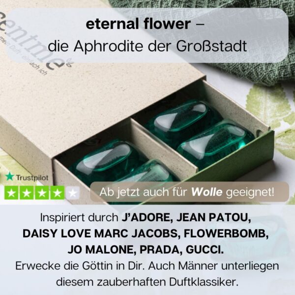 eternal flower