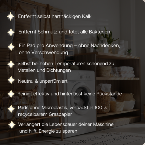 Maschinenreiniger